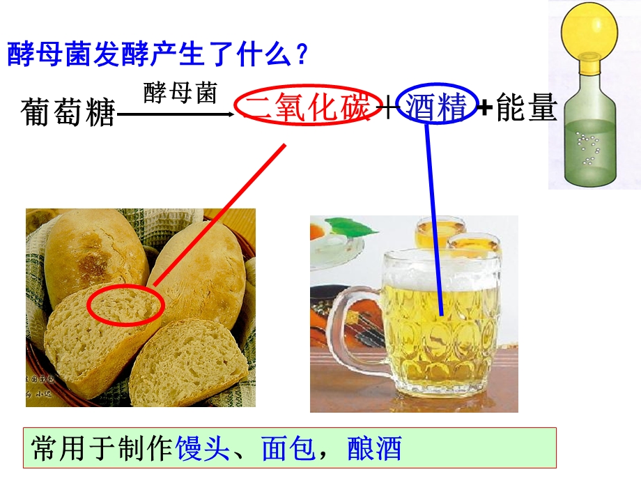 人类对细菌和真菌的利用课件.ppt_第3页