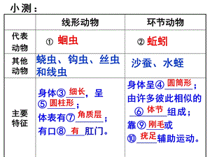 人教版八年级生物第三节软体动物和节肢动物(共32张)课件.ppt