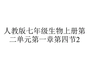 人教版七年级生物上册第二单元第一章第四节24细胞的生活(共26张).ppt