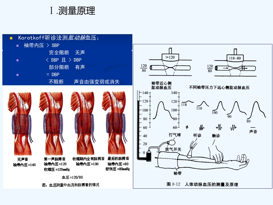 人体心电血压和肺功能测定课件.ppt_第3页