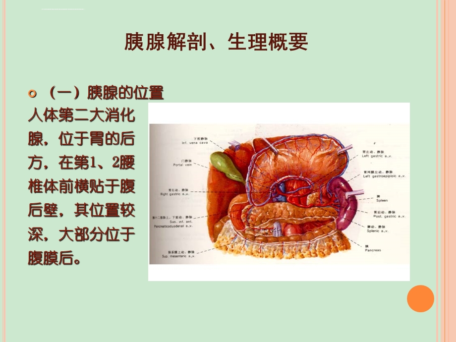 胰腺炎护理查房ppt课件.ppt_第3页