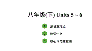 人教版中考英语知识点复习——八年级(下)Units5~6课件.ppt