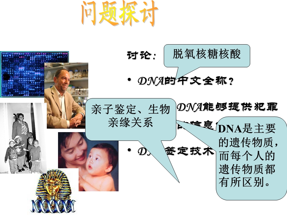 遗传信息的携带者——核酸课件.ppt_第2页