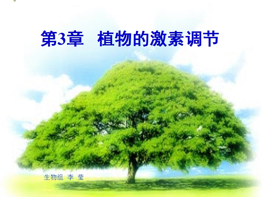 植物生长素的发现(动画很好)ppt课件.ppt_第1页