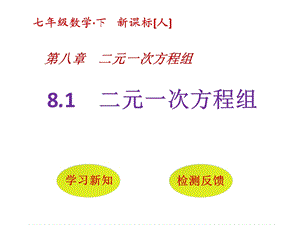 人教版七年级数学下册《二元一次方程组》课件.ppt