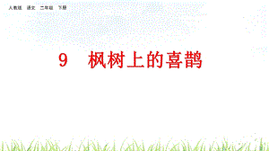 人教部编二年级语文下册《枫树上的喜鹊》课件.ppt