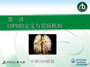 COPD的定义和发病机制ppt课件.ppt