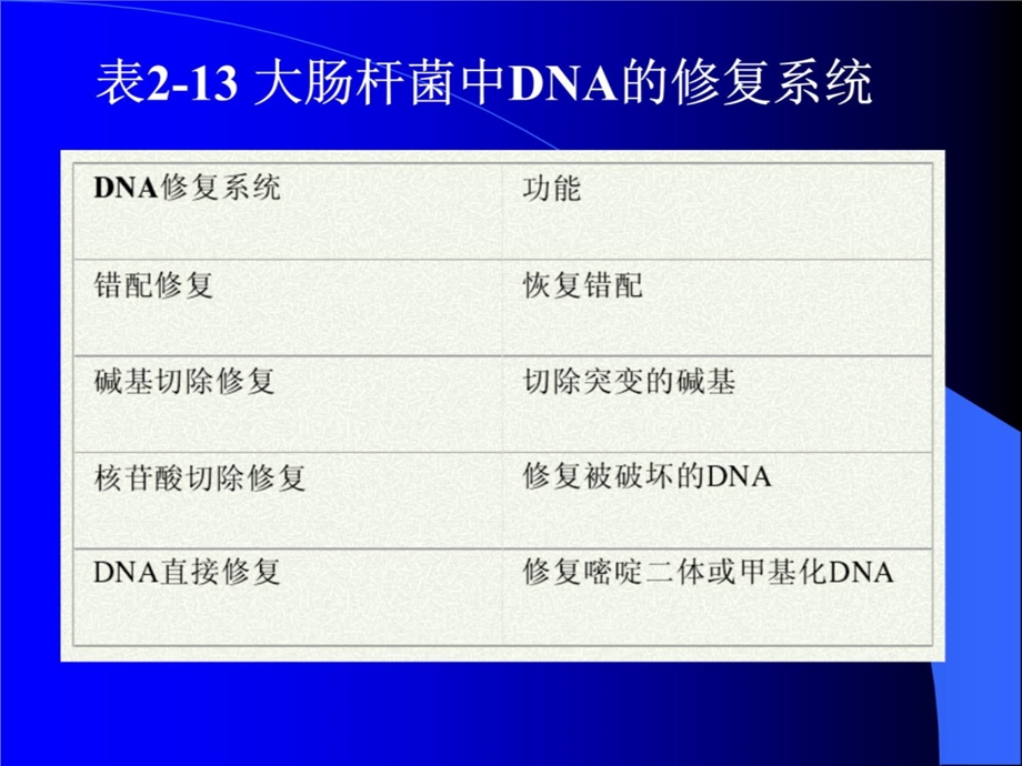 二章染色体与DNA3课件.ppt_第2页