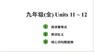 人教版中考英语知识点复习——九年级(全)Units11~12课件.ppt