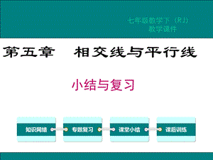 人教版七年级数学下册期末复习课件全套.ppt