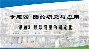 人教版选修1酵母细胞的固定化课件(24张).ppt