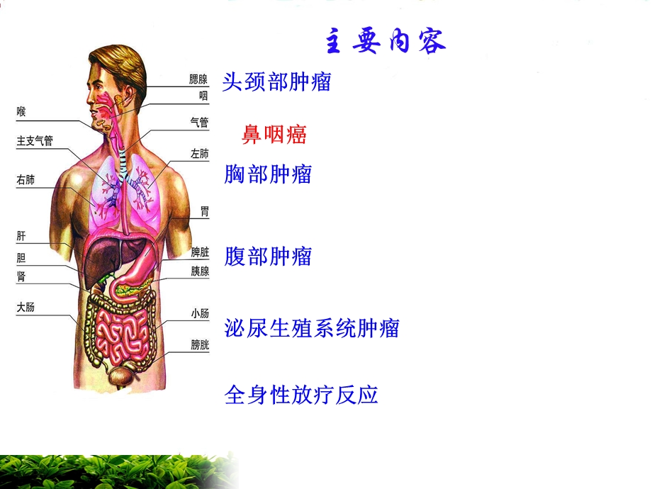 6月放射性皮炎ppt课件.ppt_第2页