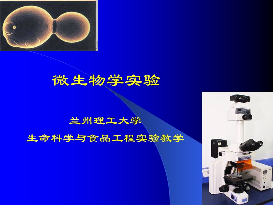 微生物学实验ppt课件.ppt_第1页