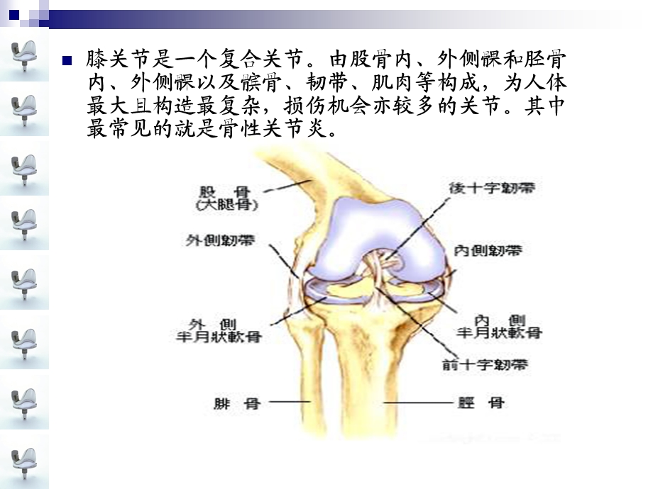 人工膝关节置换术手术配合课件.ppt_第3页