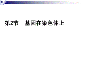 人教版必修二基因在染色体上课件(31张).ppt