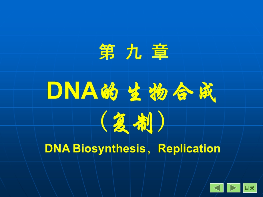 DNA的生物合成ppt课件.ppt_第1页