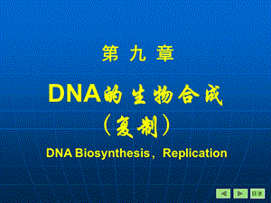 DNA的生物合成ppt课件.ppt