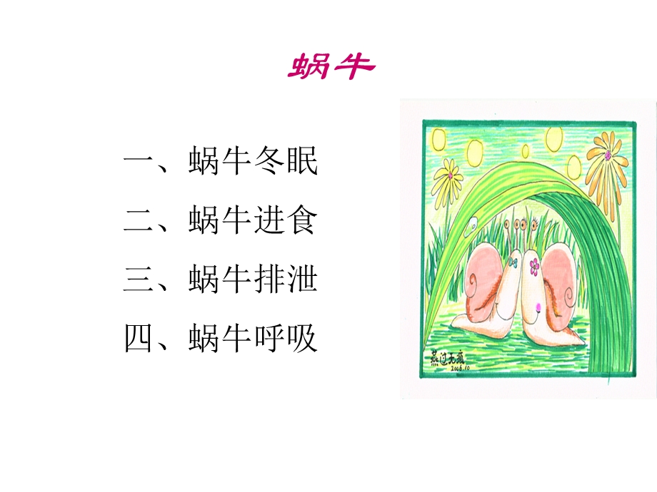 人教版小学科学上册二年级科学上册13蜗牛天地课件(14张).ppt_第1页