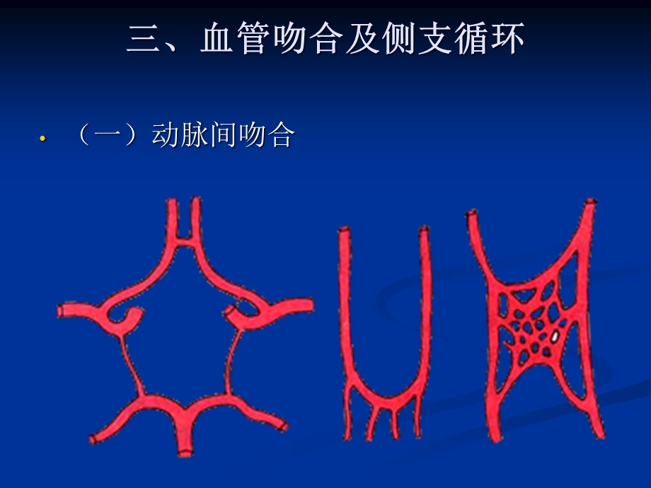 人体解剖学脉管系统动脉系统课件.ppt_第3页