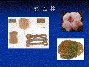 (新型纤维)纺织材料ppt课件.ppt