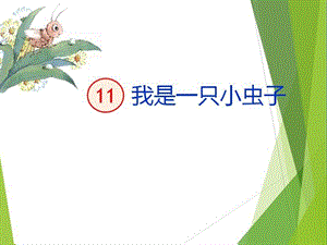 人教五四学制版(部编)二年级下册语文《11我是一只小虫子》课件.ppt