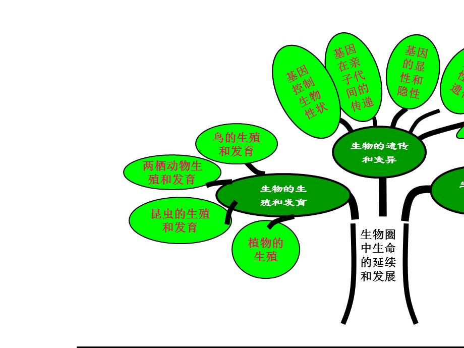 【八下生物】新人教版八年级生物下册总复习习题(1)ppt课件精选课件.ppt_第2页