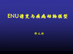 ENU与疾病动物模型ppt课件.ppt