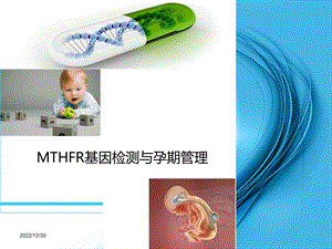 MTHFR基因检测与叶酸代谢(产科方向)ppt课件.ppt