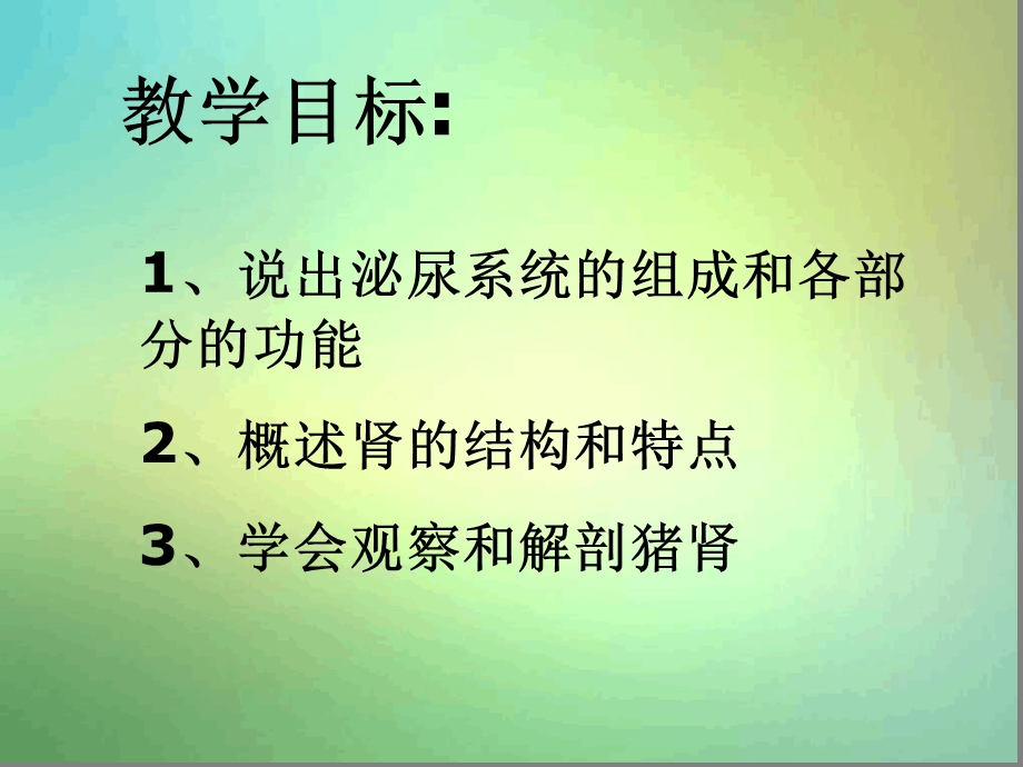 人体泌尿系统的组成肾课件.ppt_第2页