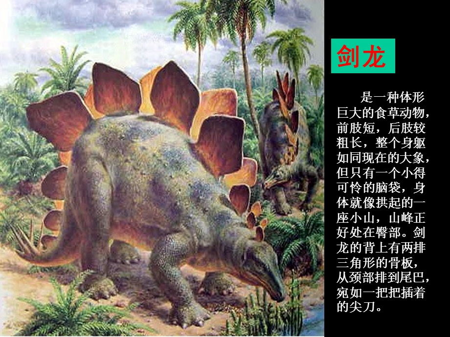 人美版一年级下册美术《20恐龙世界》课件.ppt_第3页