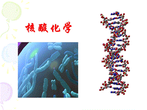 生物化学核酸化学ppt课件.ppt