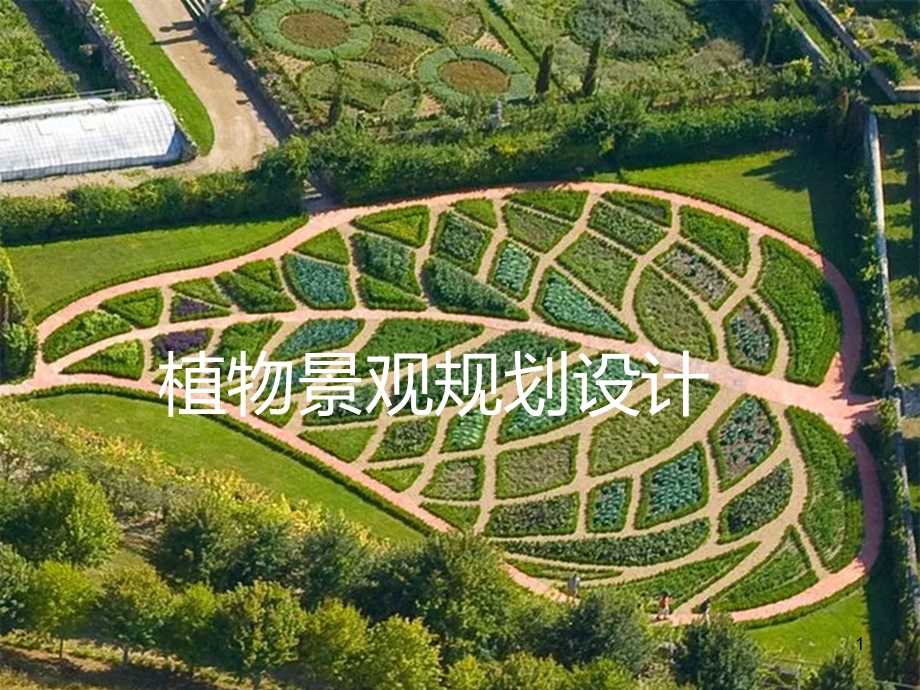 植物景观设计ppt课件.ppt_第1页