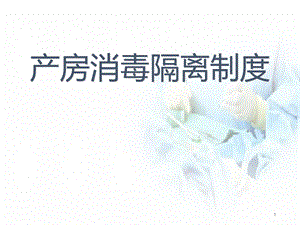 产房消毒隔离制度课件.pptx