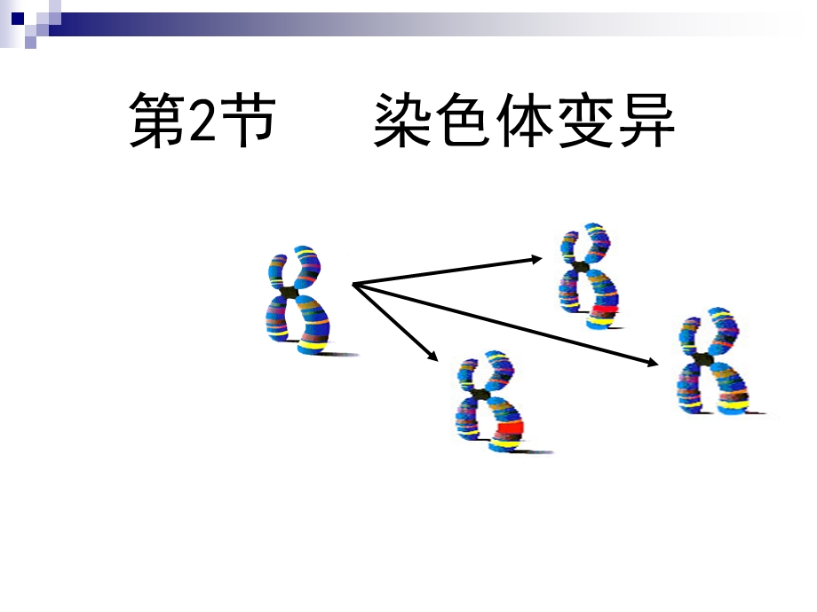 人教版必修二染色体变异课件(36张).ppt_第1页