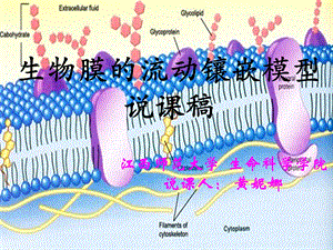 人教版高一年级生物必修一《生物膜流动镶嵌模型》说课课件.ppt