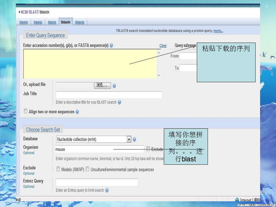 DNA测序结果拼接方法ppt课件.ppt_第2页