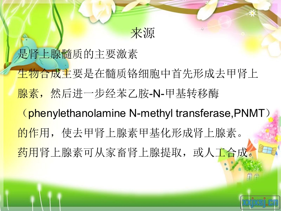 肾上腺素的课件.ppt_第2页