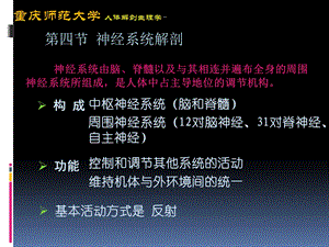 人体解剖生理学第三章神经系统解剖教材课件.ppt