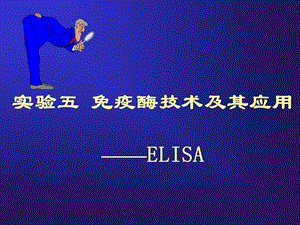 ELISA实验原理及操作ppt课件.ppt