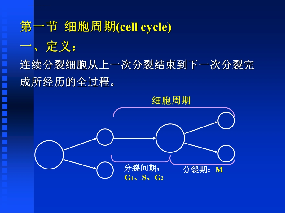 细胞周期调控ppt课件.ppt_第2页