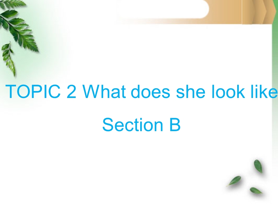 仁爱版七年级英语上册课件UNIT2LookingDifferentTOPIC2WhatdoesshelooklikeSectionB.ppt_第2页