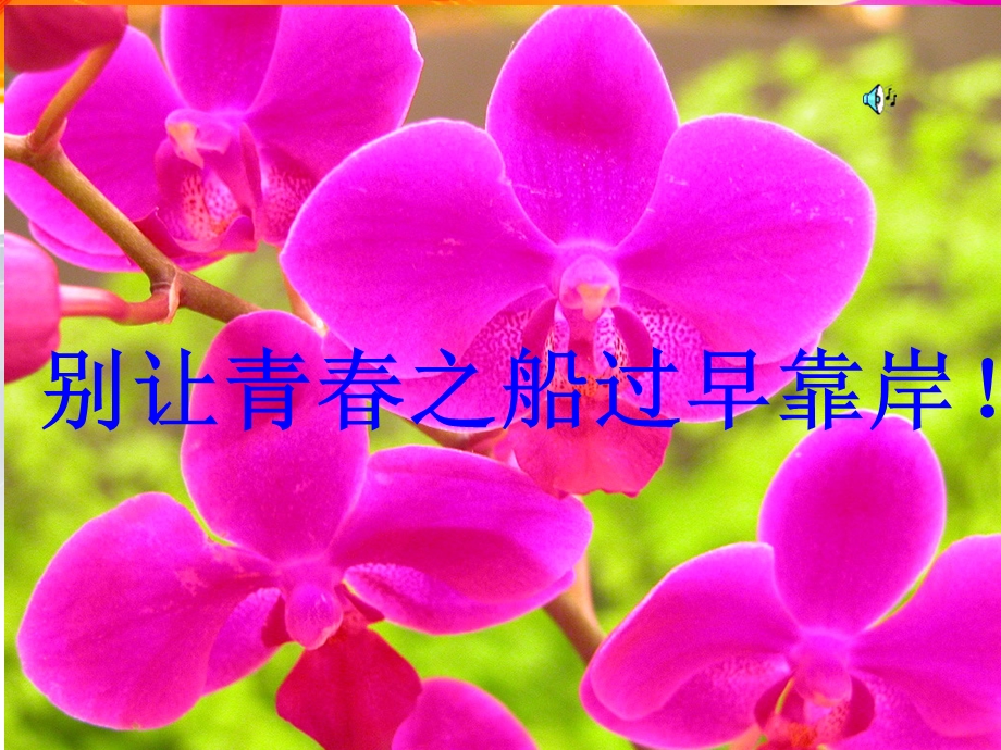 《初中女生青春期教育》ppt课件.ppt_第1页