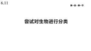 人教版八年级生物上册《尝试对生物进行分类》课件.pptx