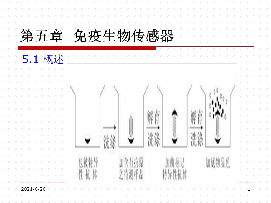 【教学课件】第五章免疫生物传感器.ppt_第1页