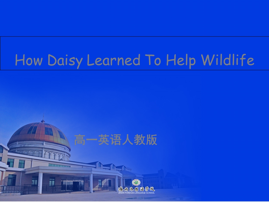 人教版高一英语必修二《Unit4HowDaisylearnedtohelpwildlife》课件设计.ppt_第1页