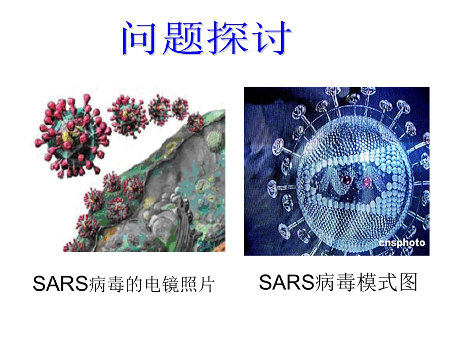 人教版高一生物必修一从生物圈到细胞课件.ppt_第3页