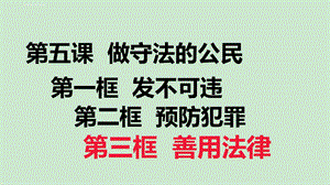 人教部编版道德与法治八年级上册5.3善用法律课件.ppt