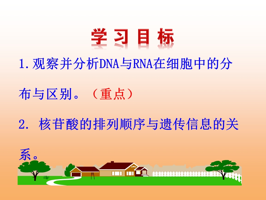 遗传信息的携带者-核酸优质课件.ppt_第2页