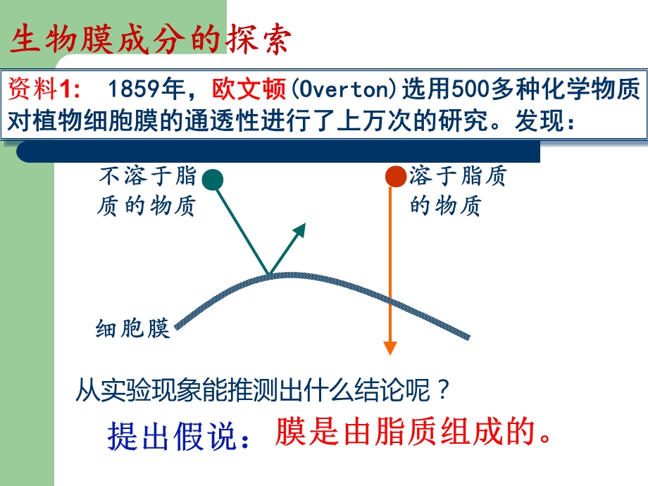 生物膜的流动镶嵌模型课件.ppt_第3页