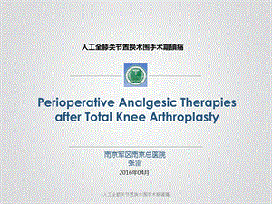 人工全膝关节置换术围手术期镇痛课件.pptx